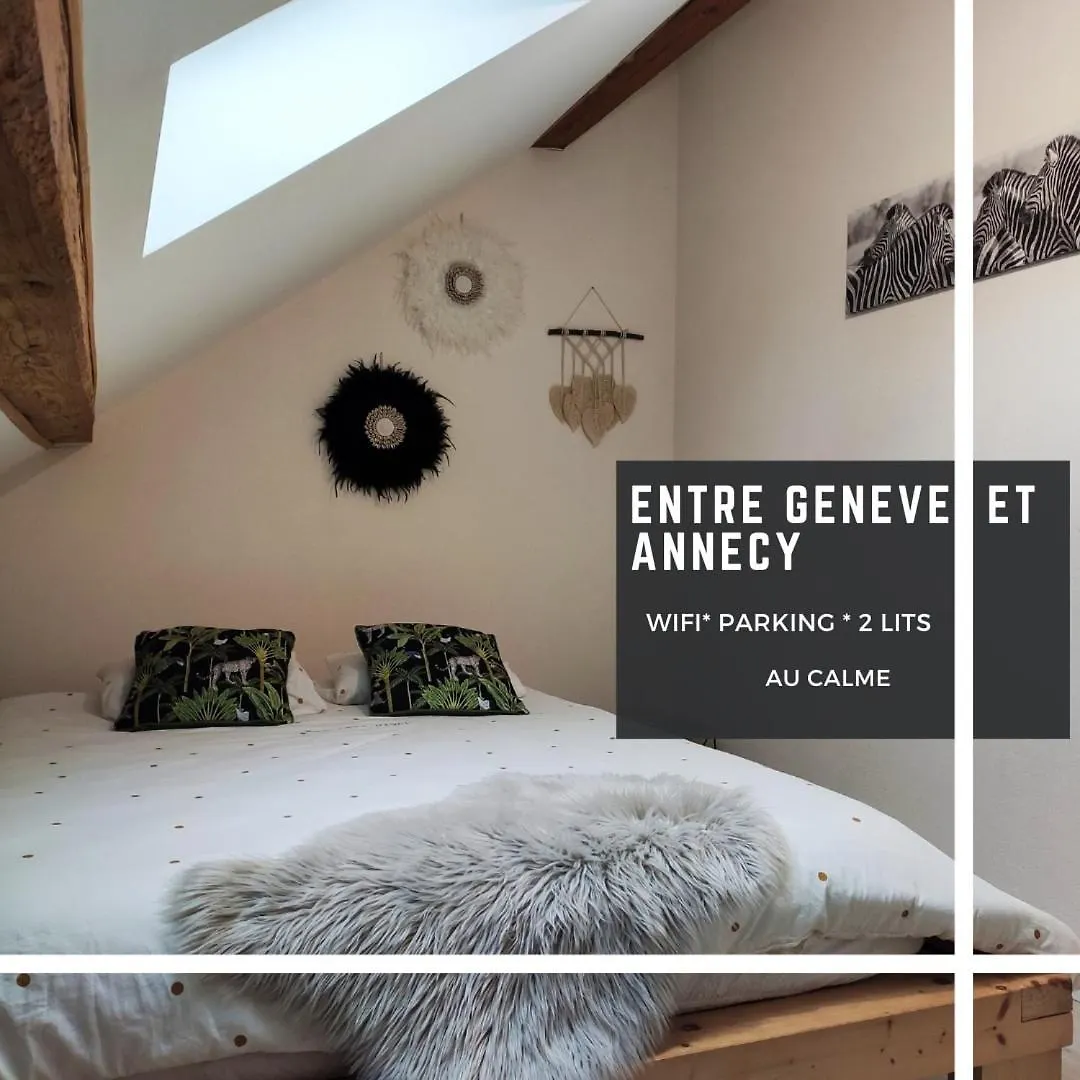 Appartamento Le Trefle Proche De Geneve Et Annecy Beaumont